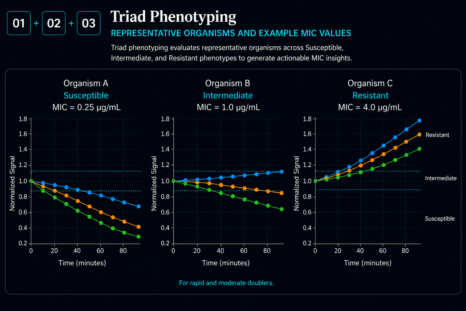 Dynamic Response Behavior Under Antibiotic Exposure
