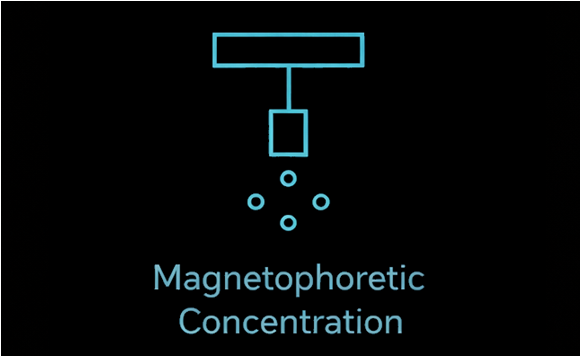 Magnetophoretic concentration icon